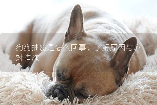 狗狗抽筋是怎么回事，了解原因與應對措施