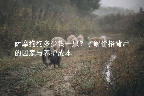 薩摩狗狗多少錢一只？了解價格背后的因素與養護成本