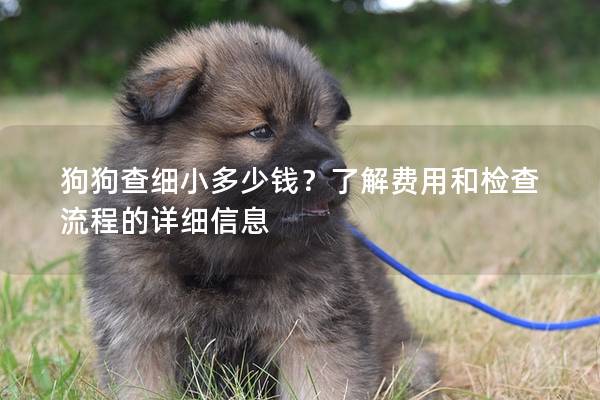 狗狗查細小多少錢？了解費用和檢查流程的詳細信息