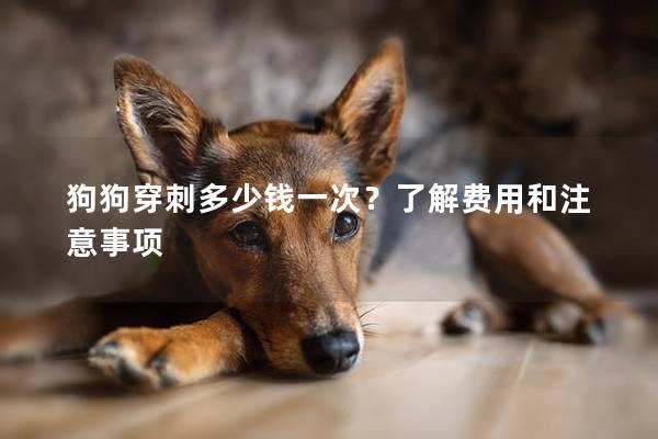 狗狗穿刺多少錢(qián)一次？了解費(fèi)用和注意事項(xiàng)