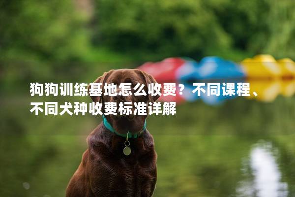 狗狗訓(xùn)練基地怎么收費(fèi)？不同課程、不同犬種收費(fèi)標(biāo)準(zhǔn)詳解