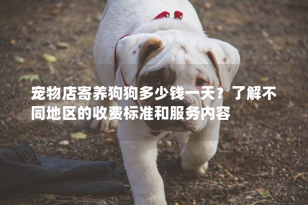 寵物店寄養(yǎng)狗狗多少錢一天？了解不同地區(qū)的收費(fèi)標(biāo)準(zhǔn)和服務(wù)內(nèi)容