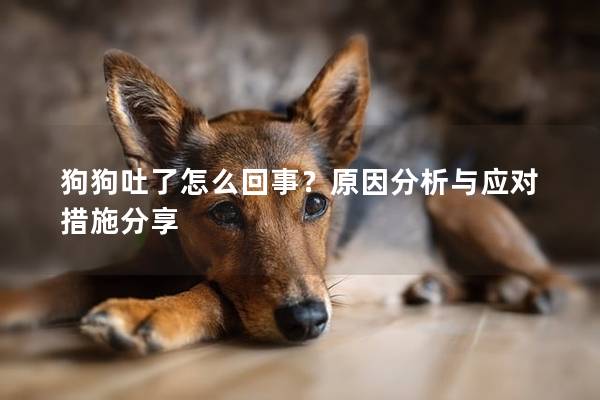 狗狗吐了怎么回事？原因分析與應(yīng)對(duì)措施分享