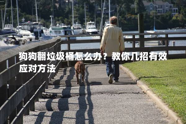 狗狗翻垃圾桶怎么辦？教你幾招有效應對方法