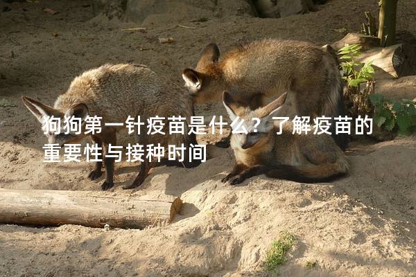 狗狗第一針疫苗是什么？了解疫苗的重要性與接種時(shí)間