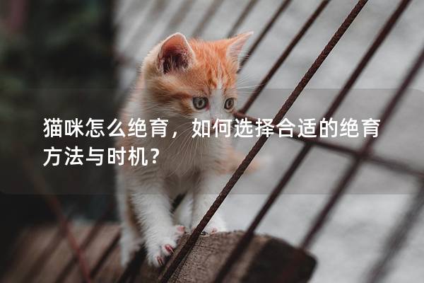 貓咪怎么絕育，如何選擇合適的絕育方法與時機？