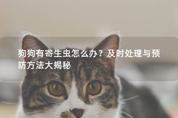 狗狗有寄生蟲怎么辦？及時處理與預防方法大揭秘