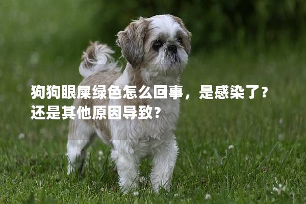 狗狗眼屎綠色怎么回事，是感染了？還是其他原因導致？