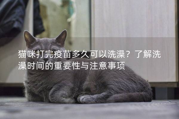 貓咪打完疫苗多久可以洗澡？了解洗澡時間的重要性與注意事項