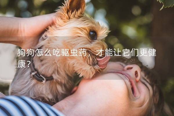 狗狗怎么吃驅蟲藥，才能讓它們更健康？