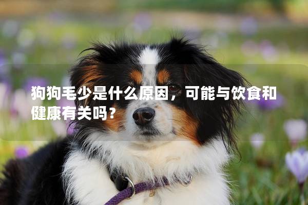 狗狗毛少是什么原因，可能與飲食和健康有關(guān)嗎？