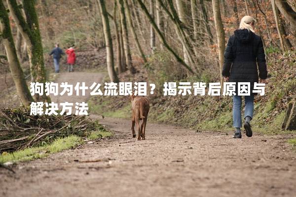 狗狗為什么流眼淚？揭示背后原因與解決方法