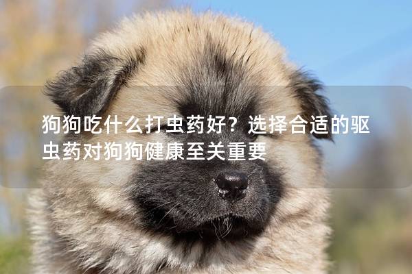 狗狗吃什么打蟲藥好？選擇合適的驅蟲藥對狗狗健康至關重要