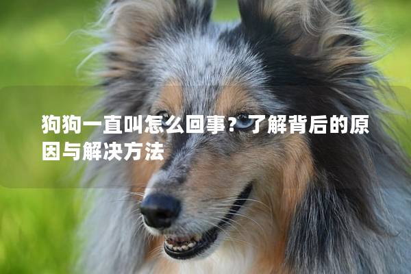 狗狗一直叫怎么回事？了解背后的原因與解決方法
