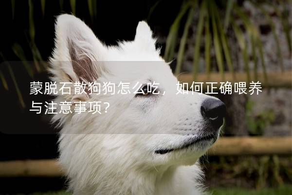 蒙脫石散狗狗怎么吃，如何正確喂養與注意事項？