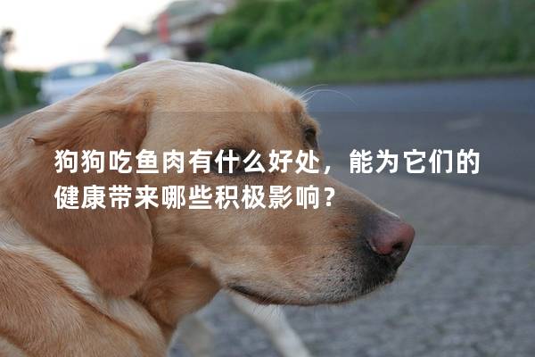 狗狗吃魚肉有什么好處，能為它們的健康帶來哪些積極影響？