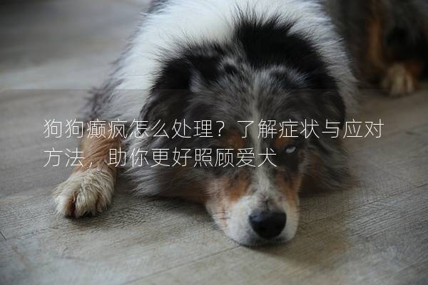 狗狗癲瘋怎么處理？了解癥狀與應對方法，助你更好照顧愛犬