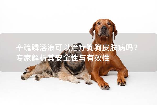 辛硫磷溶液可以治療狗狗皮膚病嗎？專家解析其安全性與有效性