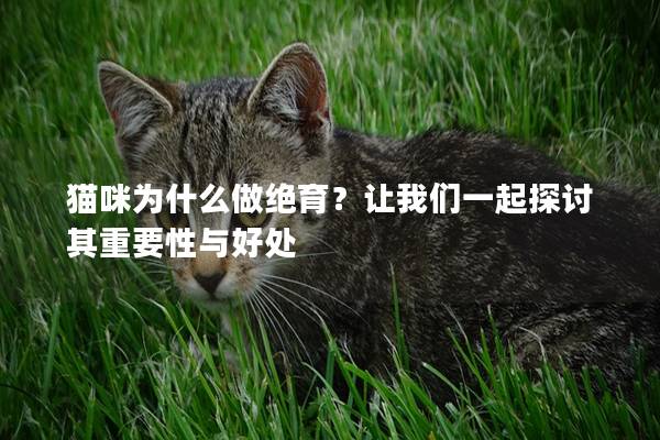 貓咪為什么做絕育?讓我們一起探討其重要性與好處 貓咪為什么做絕育?讓我們一起探討其重要性與好處