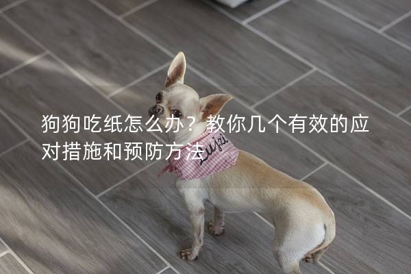 狗狗吃紙怎么辦？教你幾個有效的應對措施和預防方法