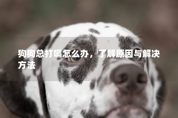 狗狗總打嗝怎么辦，了解原因與解決方法