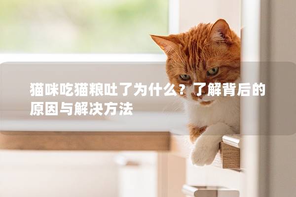 貓咪吃貓糧吐了為什么？了解背后的原因與解決方法