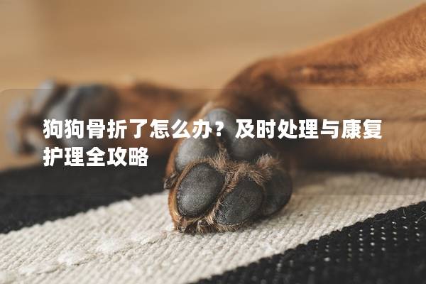 狗狗骨折了怎么辦？及時處理與康復護理全攻略