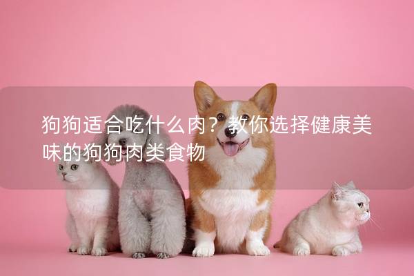 狗狗適合吃什么肉？教你選擇健康美味的狗狗肉類食物