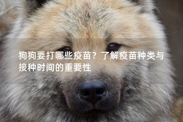 狗狗要打哪些疫苗？了解疫苗種類與接種時間的重要性