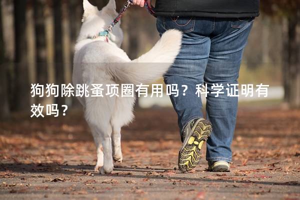 狗狗除跳蚤項圈有用嗎?科學證明有效嗎? 狗狗除跳蚤項圈有用嗎?科學證明有效嗎?