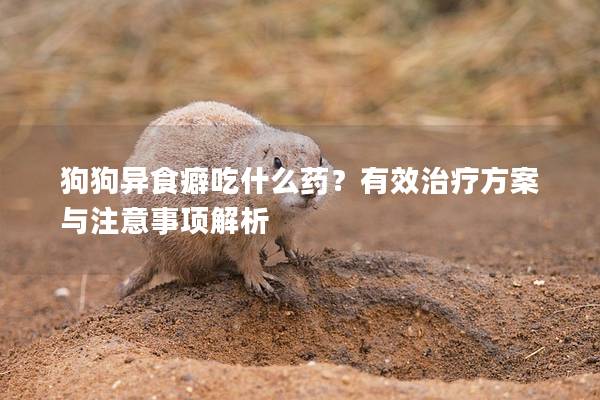 狗狗異食癖吃什么藥？有效治療方案與注意事項解析