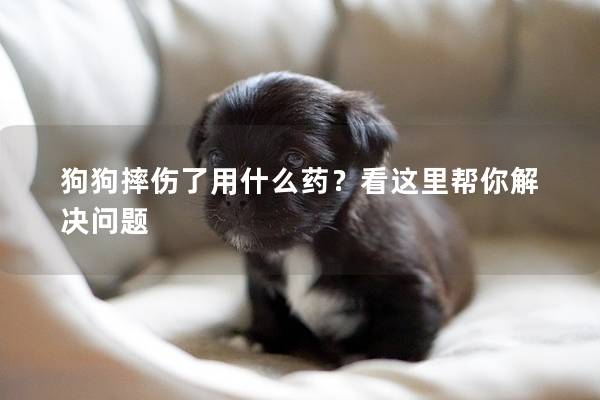 狗狗摔傷了用什么藥？看這里幫你解決問題