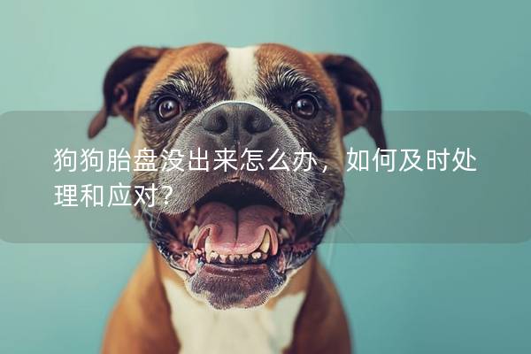 狗狗胎盤沒出來怎么辦,如何及時處理和應對? 狗狗胎盤沒出來怎么辦,如何及時處理和應對?