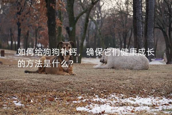 如何給狗狗補鈣,確保它們健康成長的方法是什么? 如何給狗狗補鈣,確保它們健康成長的方法是什么?