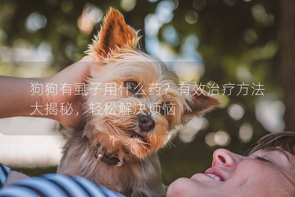 狗狗有虱子用什么藥？有效治療方法大揭秘，輕松解決煩惱