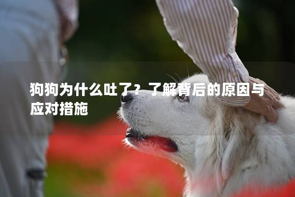 狗狗為什么吐了？了解背后的原因與應對措施