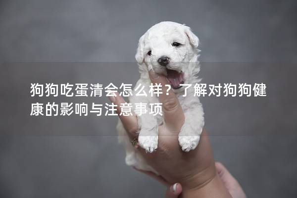 狗狗吃蛋清會怎么樣？了解對狗狗健康的影響與注意事項