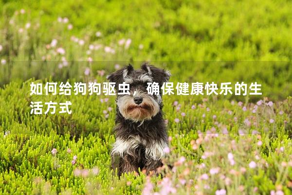 如何給狗狗驅(qū)蟲,確保健康快樂的生活方式