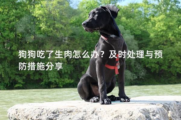 狗狗吃了生肉怎么辦？及時處理與預(yù)防措施分享