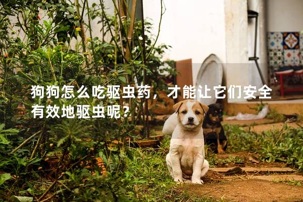狗狗怎么吃驅蟲藥，才能讓它們安全有效地驅蟲呢？