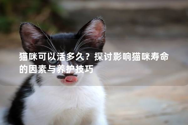 貓咪可以活多久？探討影響貓咪壽命的因素與養護技巧