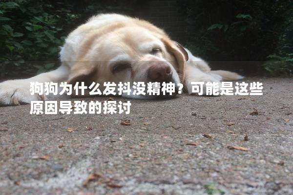 狗狗為什么發(fā)抖沒精神？可能是這些原因?qū)е碌奶接?></em><p>狗狗為什么發(fā)抖沒精神？可能是這些原因?qū)е碌奶接?/p><span>2025-01-25</span></a></li><li><a title=