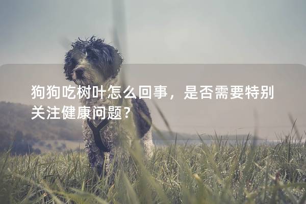 狗狗吃樹葉怎么回事，是否需要特別關注健康問題？