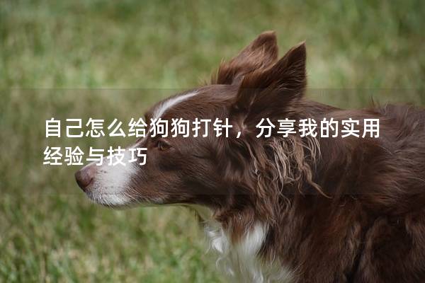 自己怎么給狗狗打針，分享我的實用經驗與技巧