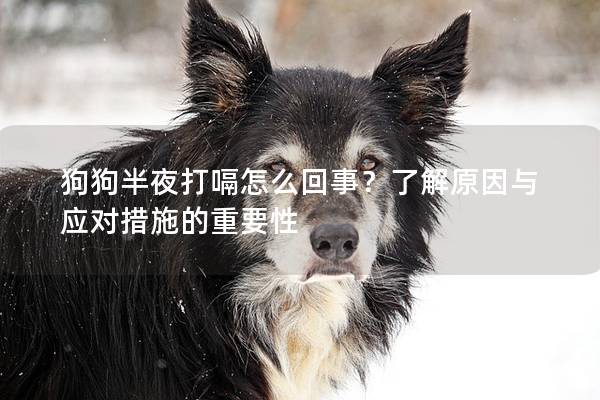 狗狗半夜打嗝怎么回事？了解原因與應對措施的重要性