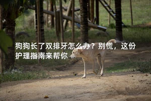 狗狗長了雙排牙怎么辦？別慌，這份護(hù)理指南來幫你