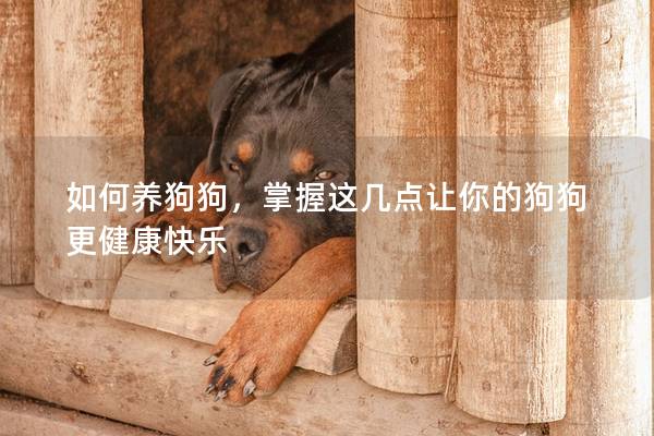 如何養狗狗，掌握這幾點讓你的狗狗更健康快樂