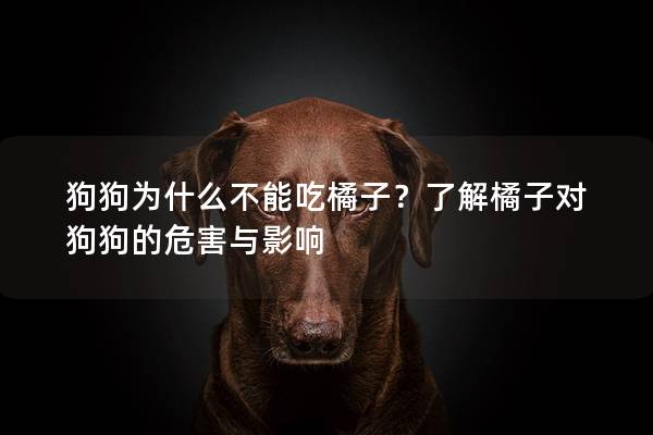 狗狗為什么不能吃橘子？了解橘子對(duì)狗狗的危害與影響