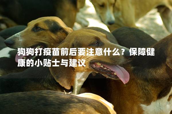 狗狗打疫苗前后要注意什么？保障健康的小貼士與建議