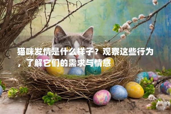 貓咪發情是什么樣子？觀察這些行為，了解它們的需求與情感